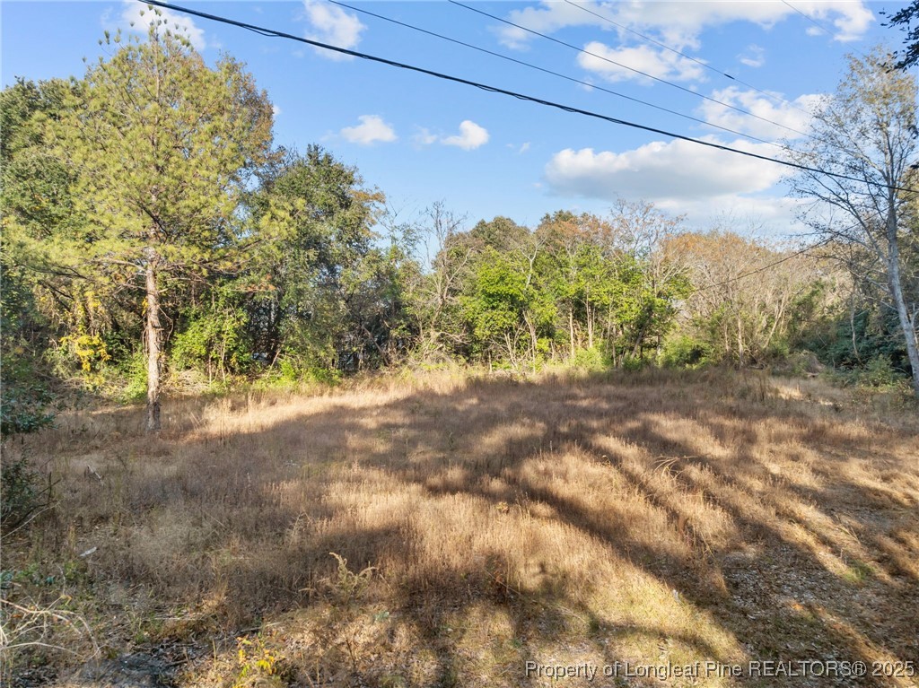 Doby Drive Raeford, NC 28376 - Photo 5 of 13 a view of a forest with trees in the background