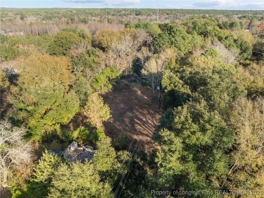 Doby Drive Raeford, NC 28376 - Photo 6 of 13 a view of a forest with a pathway