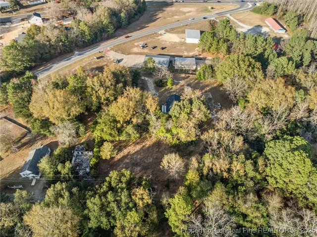 a view of a yard with plants and large trees