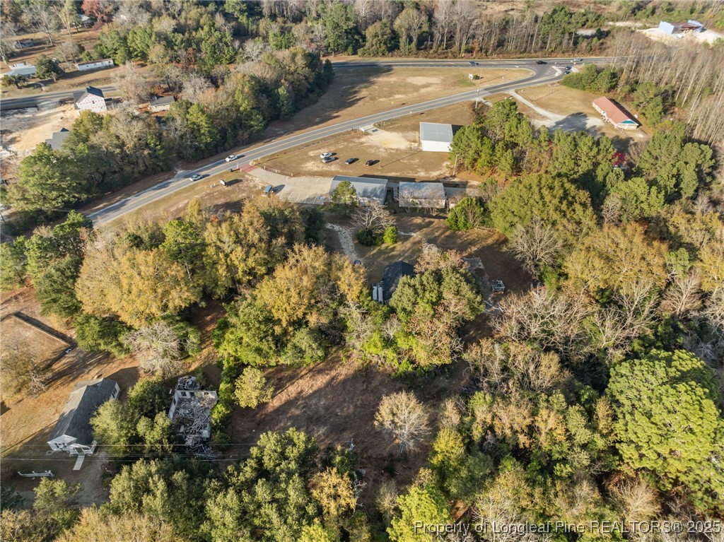 Doby Drive Raeford, NC 28376 - Photo 9 of 13 a view of a yard with plants and large trees