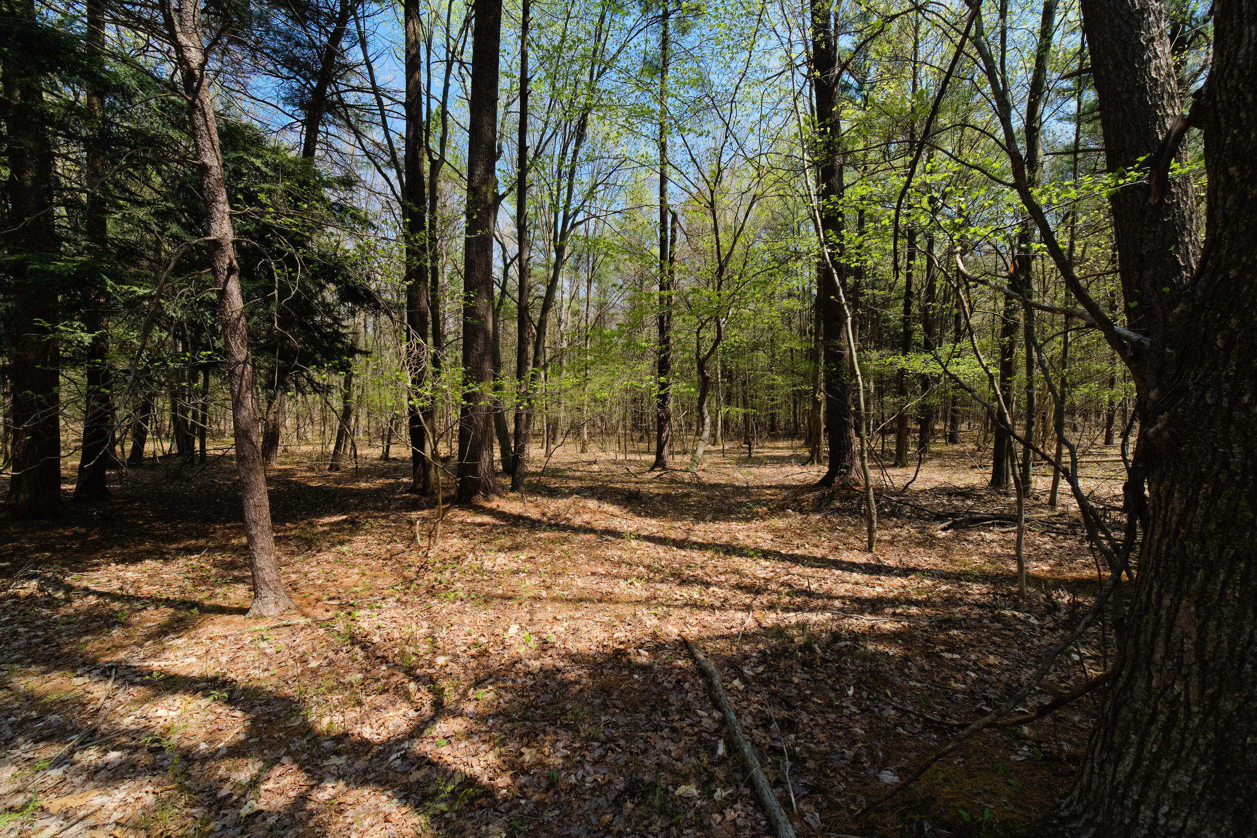 3707 Linke Road Manistee, MI 49660 - Photo 43 of 48 Your dream home is ready for you!