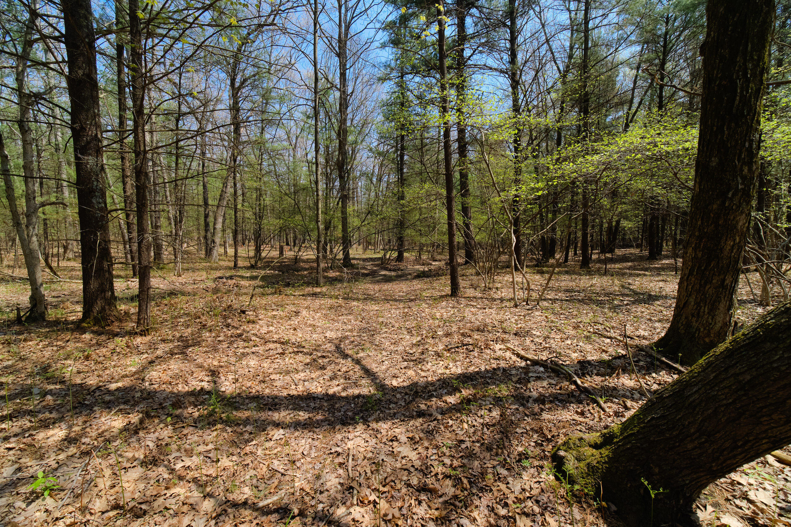 3707 Linke Road Manistee, MI 49660 - Photo 44 of 48 Your dream home is ready for you!