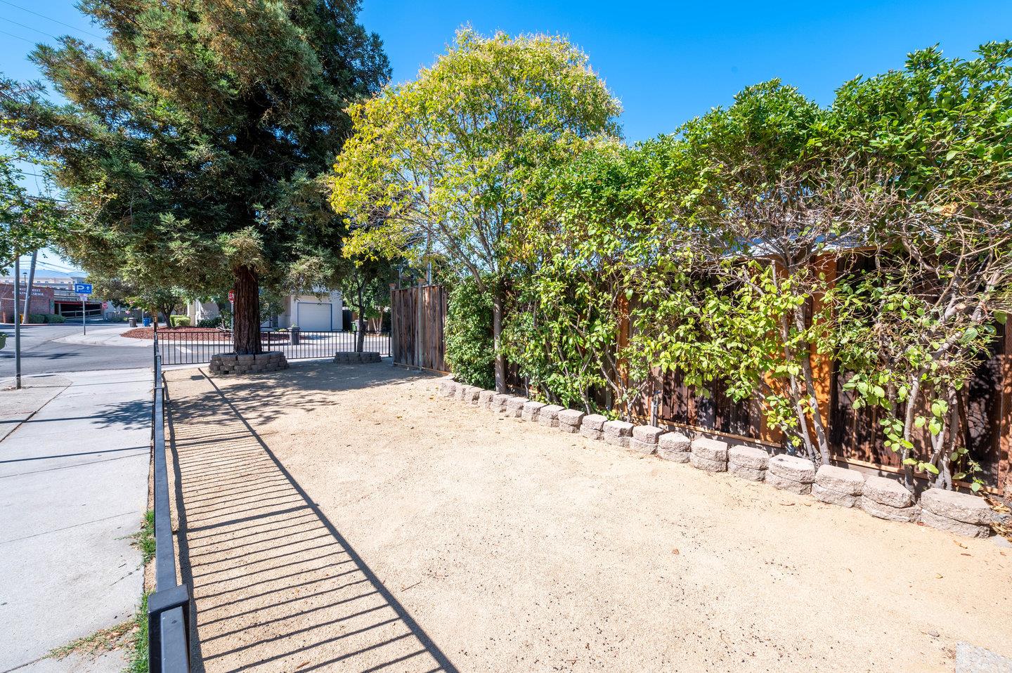 271 Everett Avenue Campbell, CA 95008 - Photo 32 of 32 a view of a yard with plants and trees