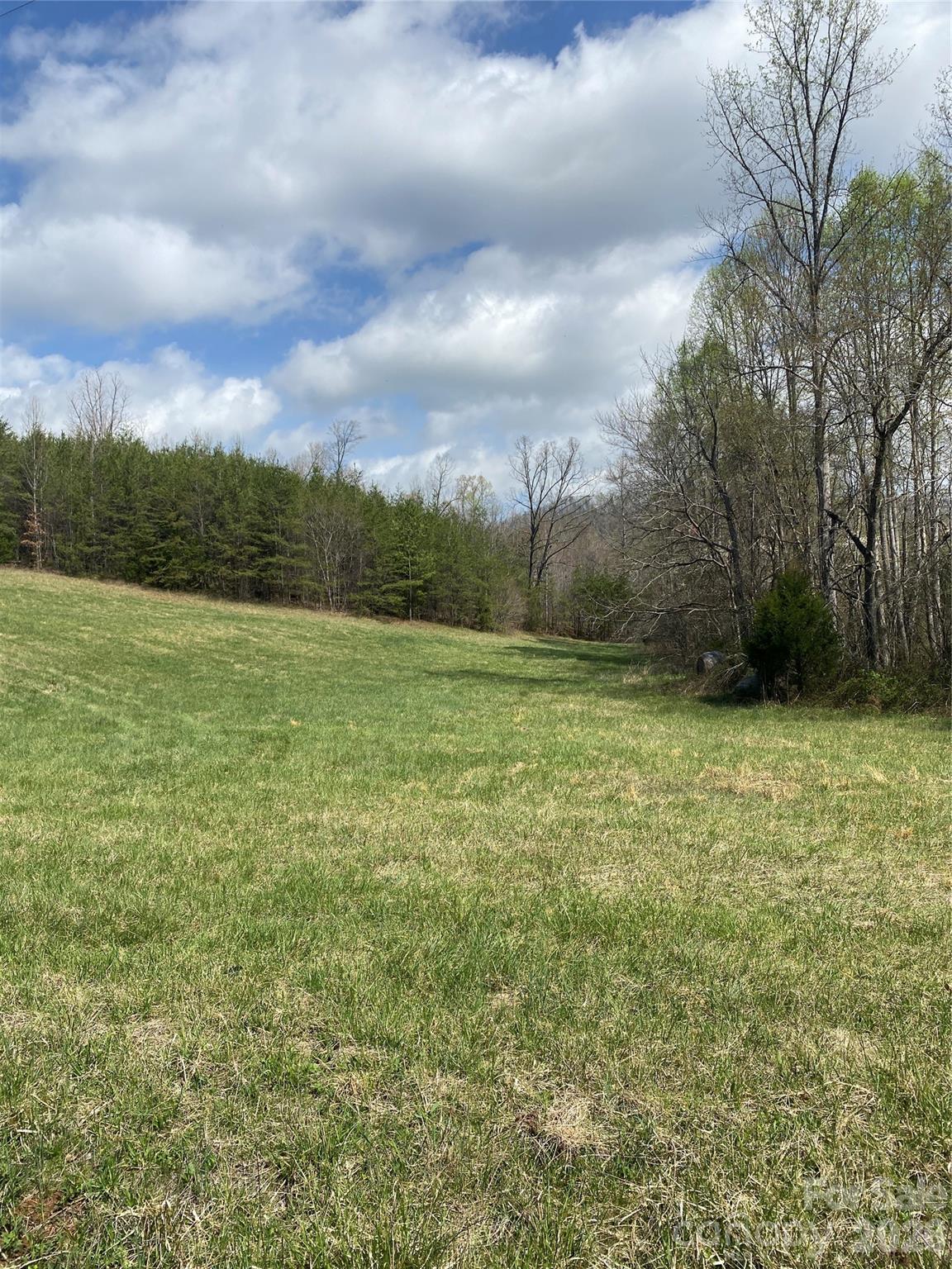 0 Cane Creek Mountain Road, Unit 1 Bostic, NC 28018 - Photo 11 of 12