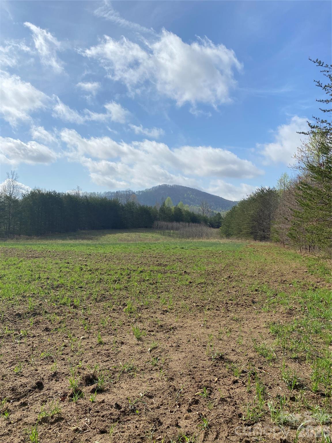 0 Cane Creek Mountain Road, Unit 1 Bostic, NC 28018 - Photo 5 of 12