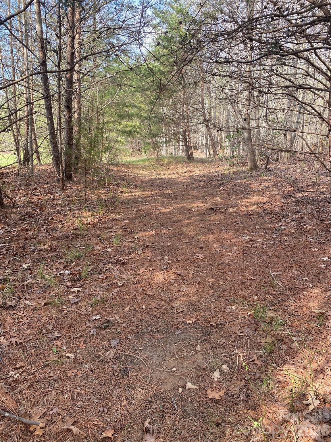 0 Cane Creek Mountain Road, Unit 1 Bostic, NC 28018 - Photo 6 of 12