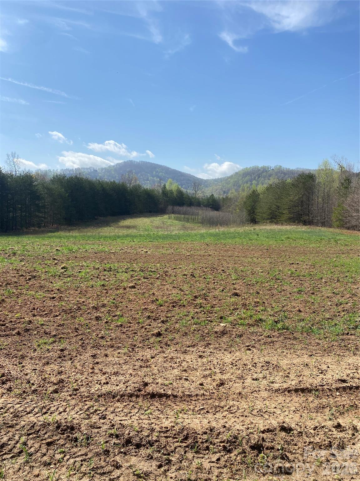 0 Cane Creek Mountain Road, Unit 1 Bostic, NC 28018 - Photo 8 of 12