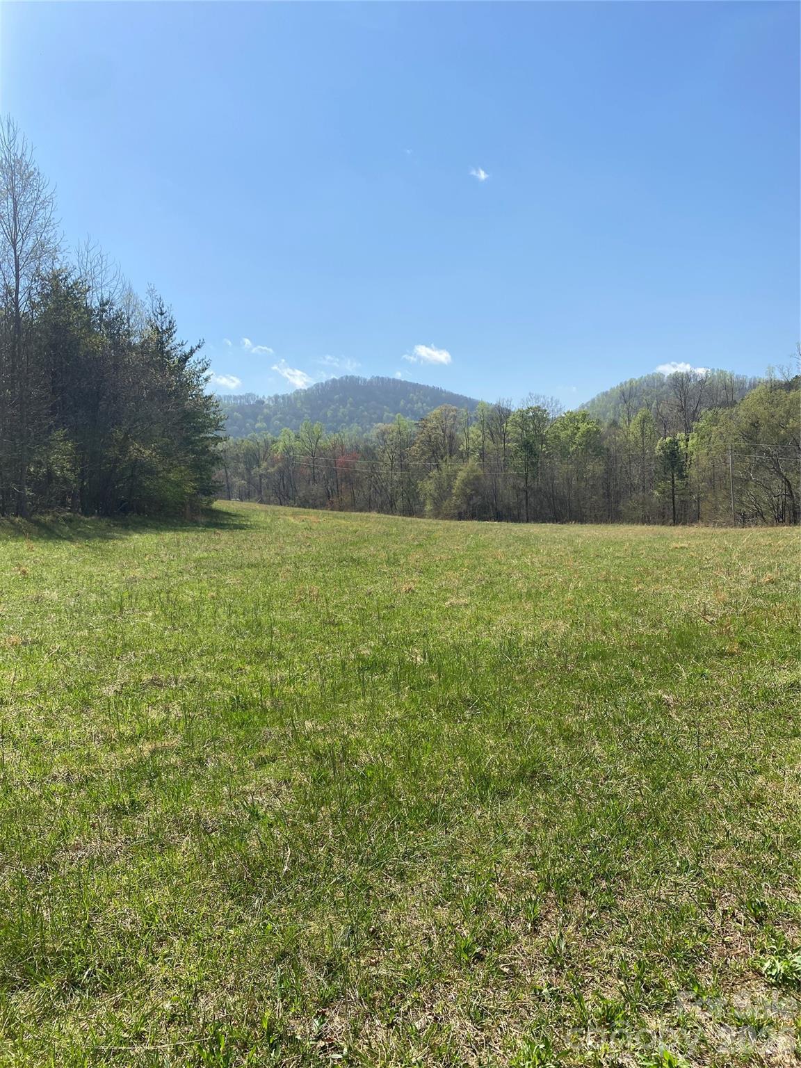 0 Cane Creek Mountain Road, Unit 1 Bostic, NC 28018 - Photo 9 of 12