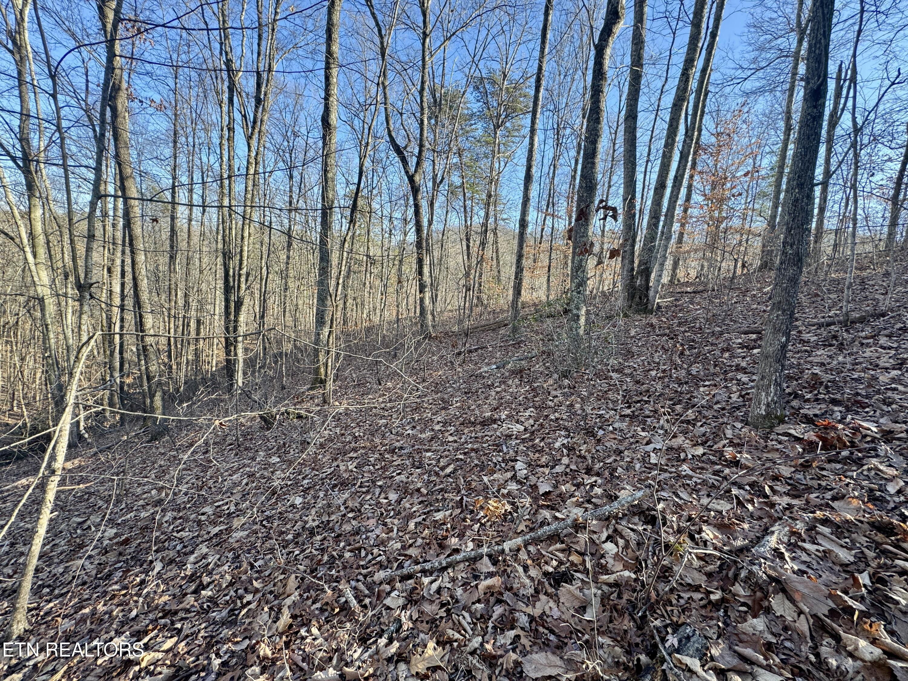 2.33 Acres Road Sevierville, TN 37876 - Photo 2 of 10 IMG_8894