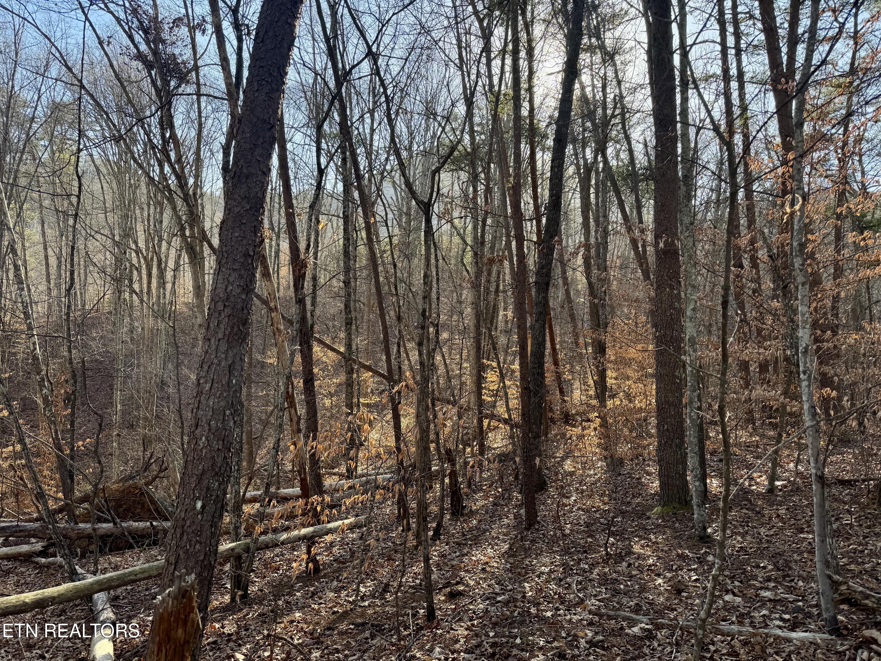 2.33 Acres Road Sevierville, TN 37876 - Photo 5 of 10 IMG_8895