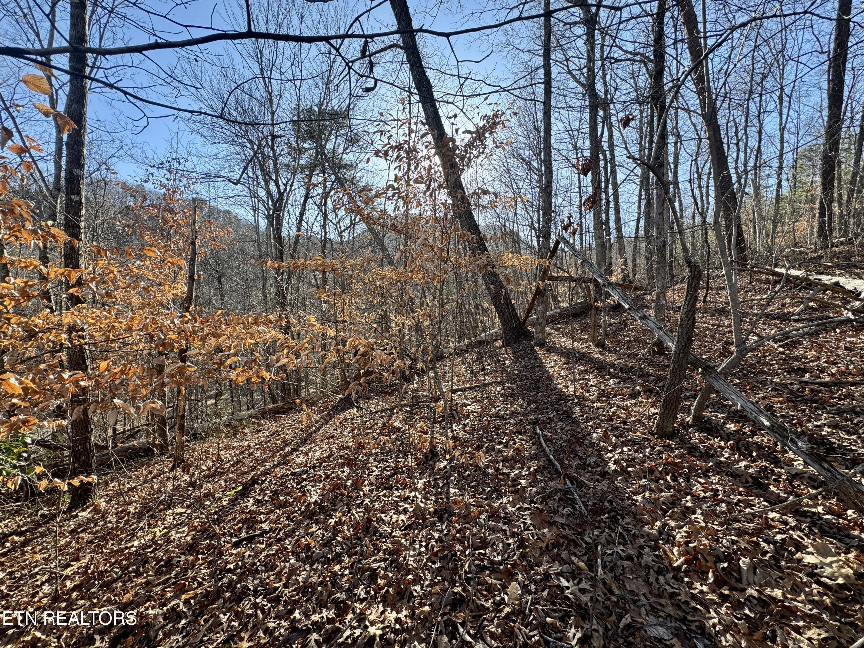 2.33 Acres Road Sevierville, TN 37876 - Photo 6 of 10 IMG_8892