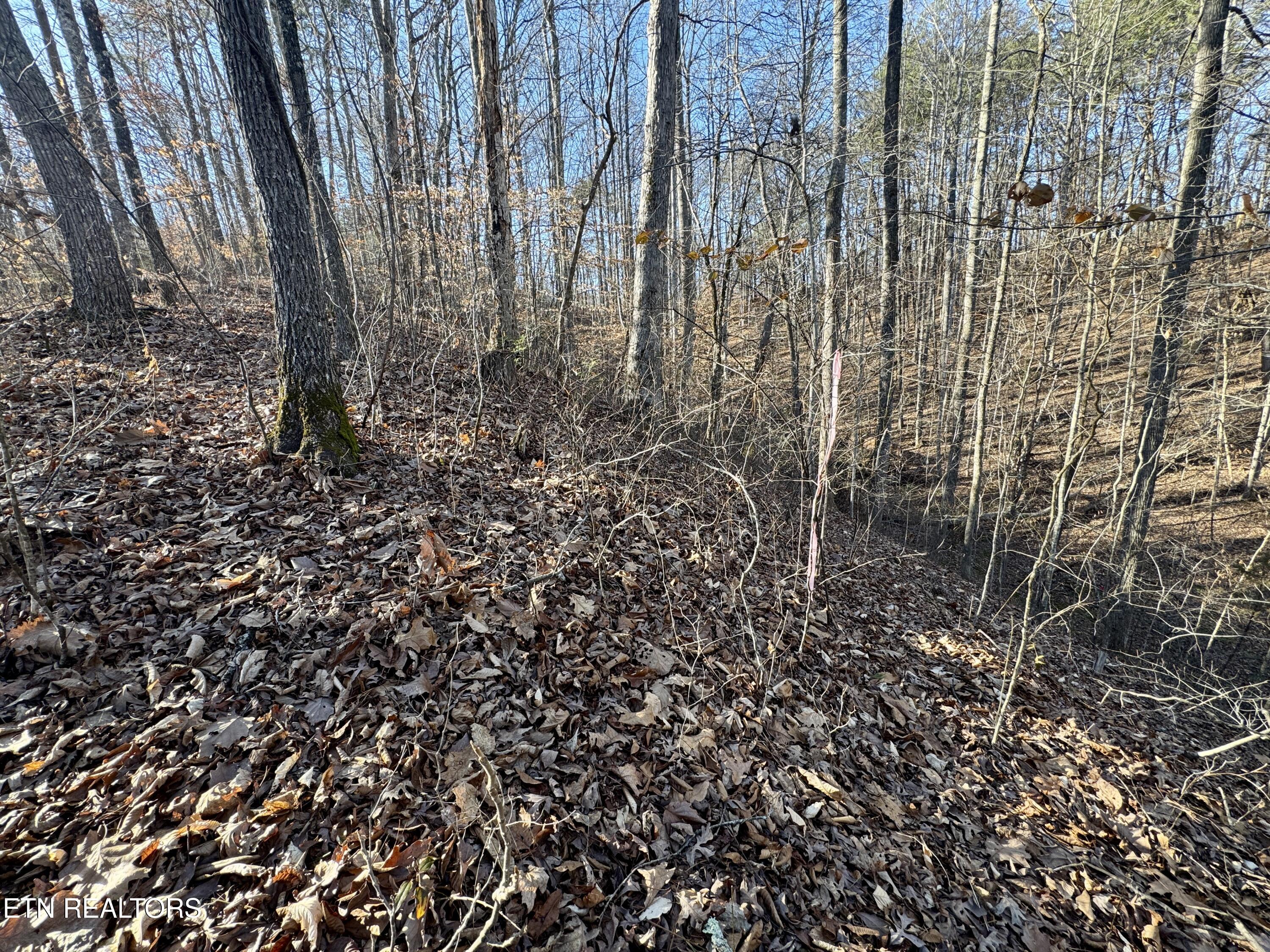 2.33 Acres Road Sevierville, TN 37876 - Photo 7 of 10 IMG_8891