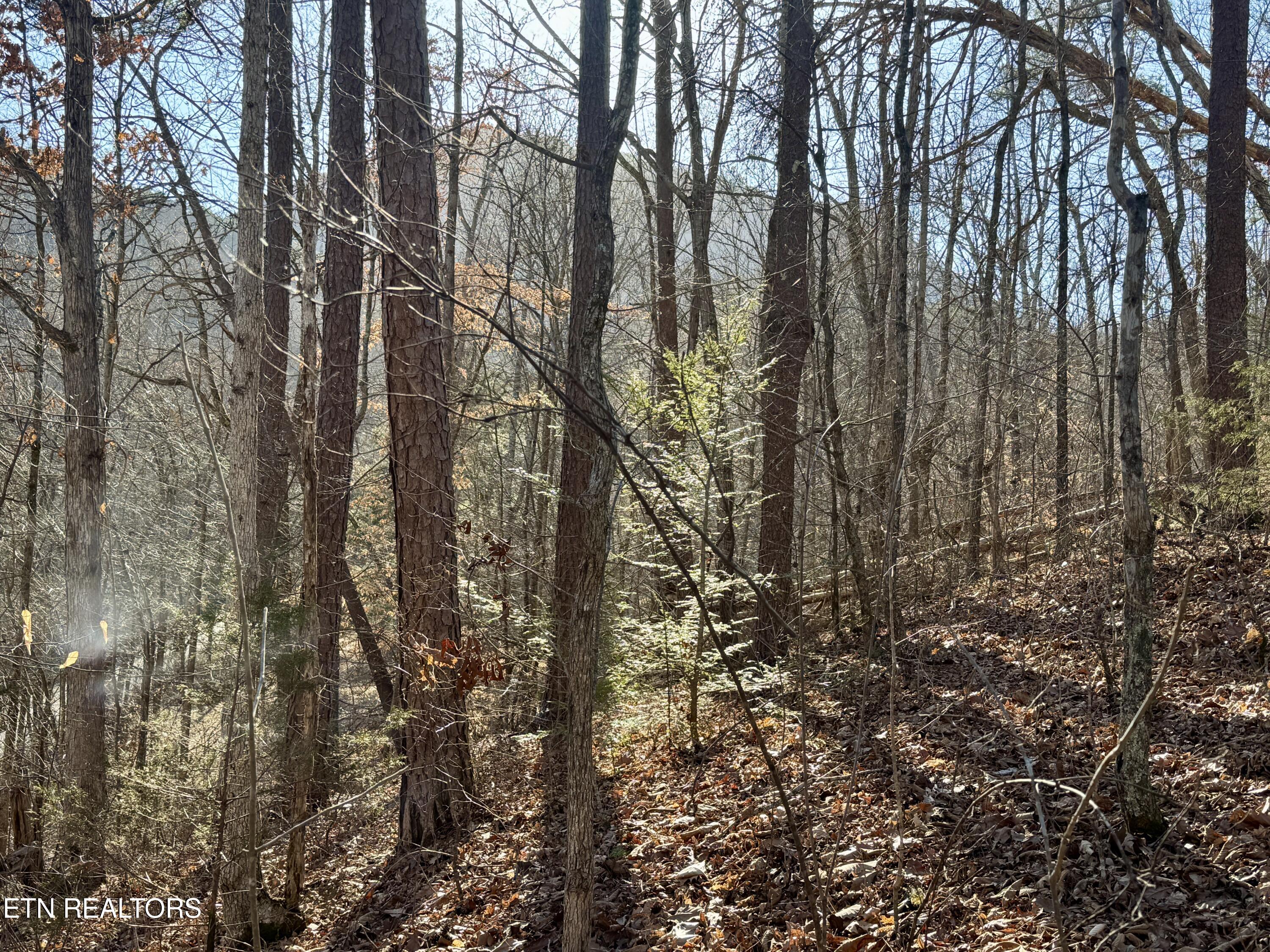 2.33 Acres Road Sevierville, TN 37876 - Photo 8 of 10 IMG_8889