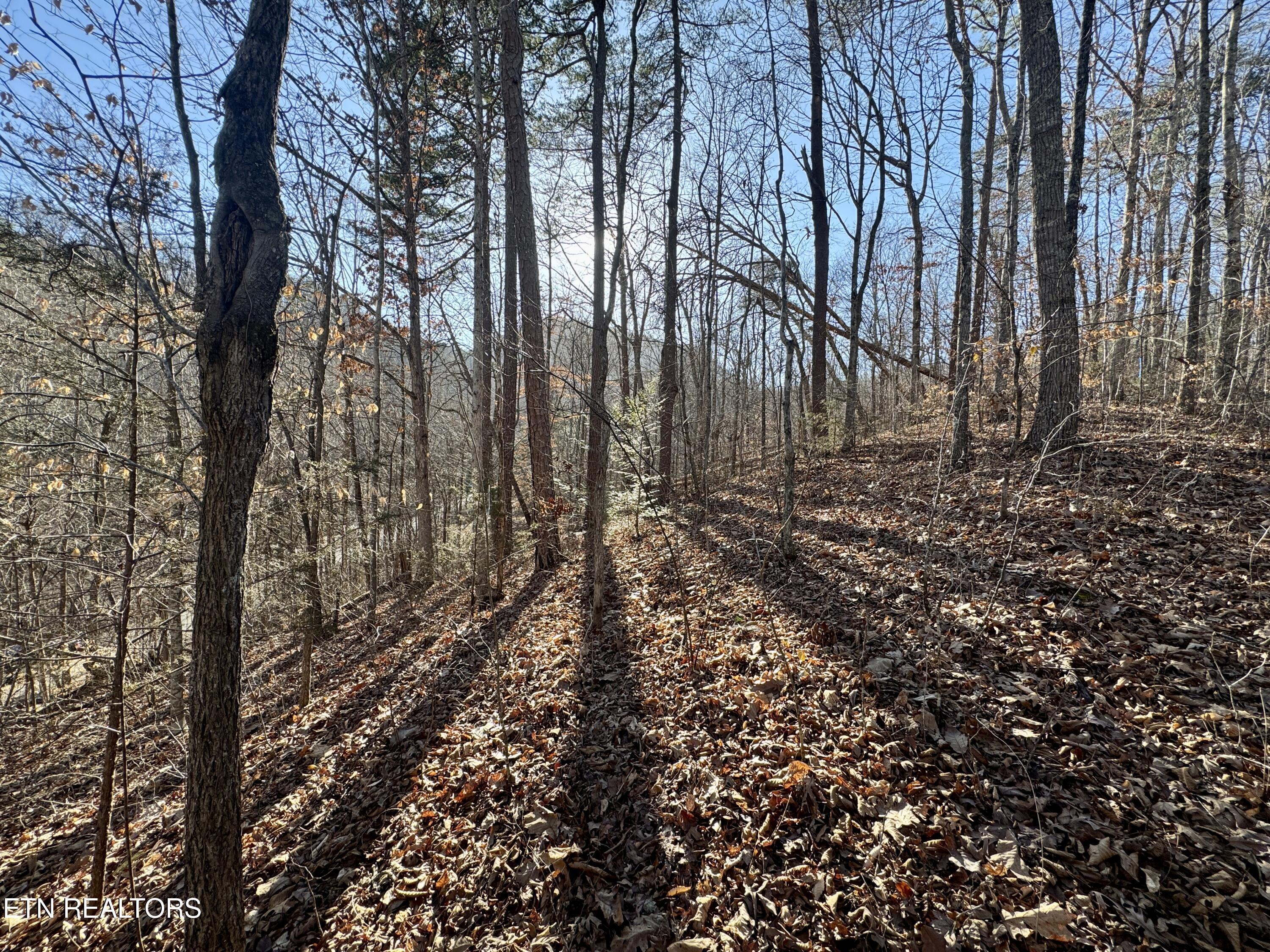 2.33 Acres Road Sevierville, TN 37876 - Photo 9 of 10 IMG_8888