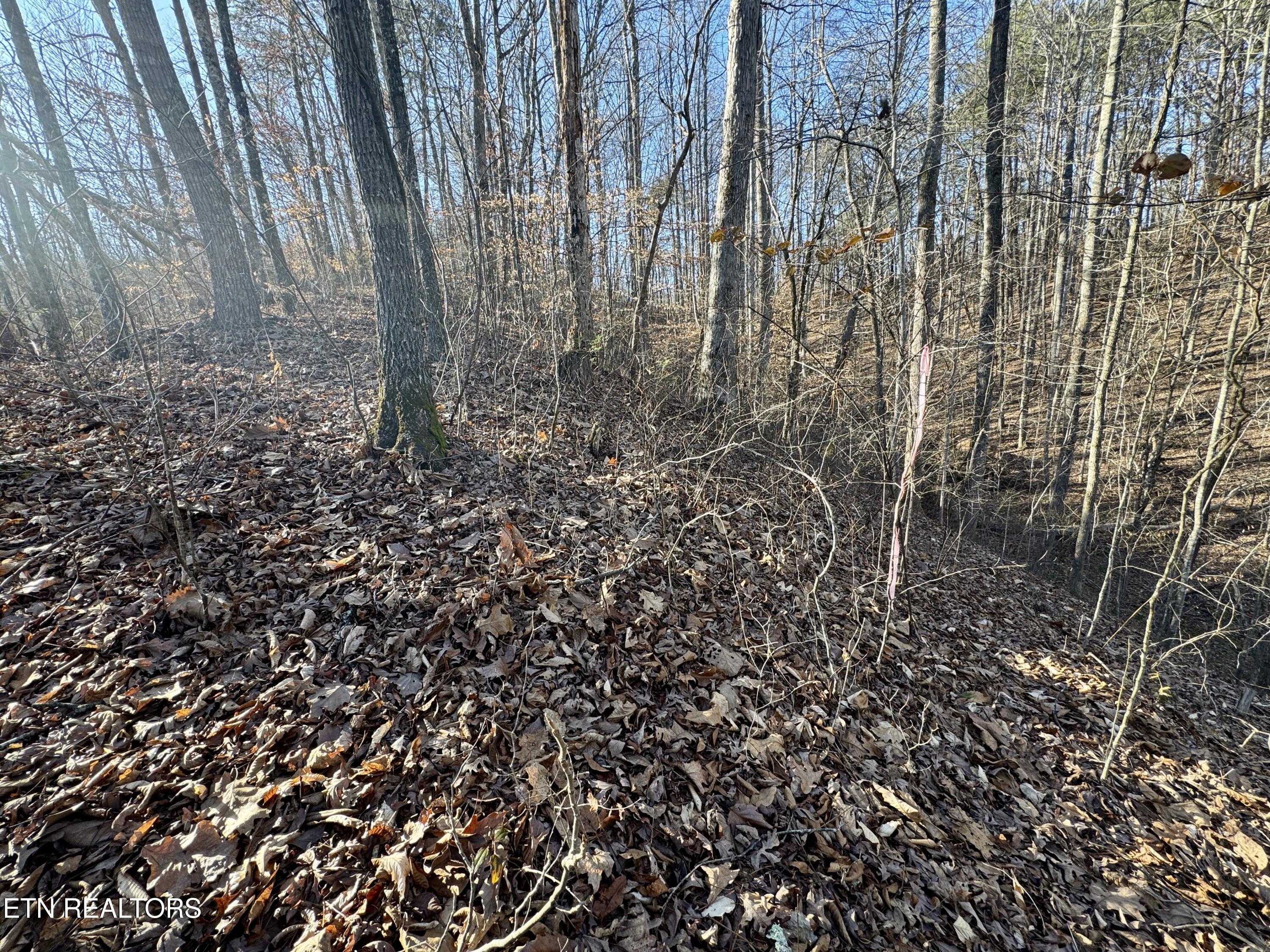 2.33 Acres Road Sevierville, TN 37876 - Photo 10 of 10 IMG_8890