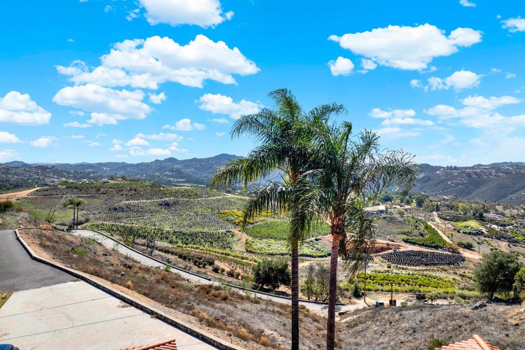 29345 Wilkes Road Valley Center, CA 92082 - Photo 15 of 63 a view of a lake with a mountain