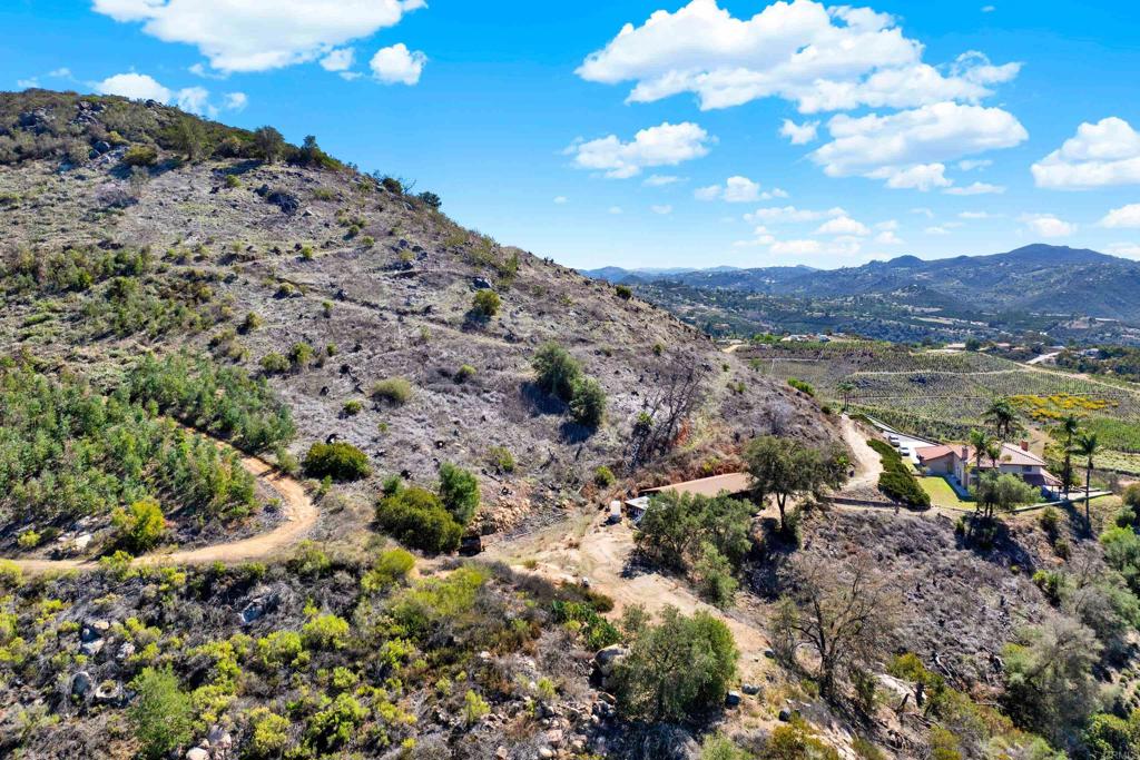 29345 Wilkes Road Valley Center, CA 92082 - Photo 6 of 63 a view of a bunch of trees in a field