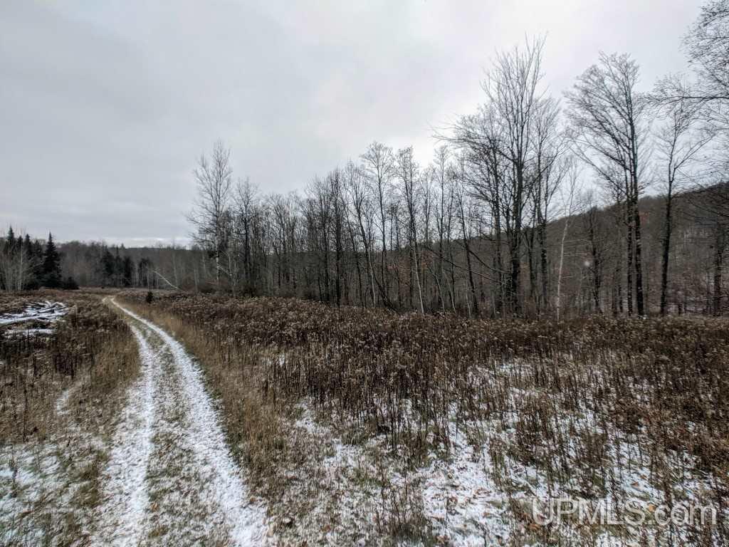 132 Krans Road Iron River, MI 49935 - Photo 13 of 21