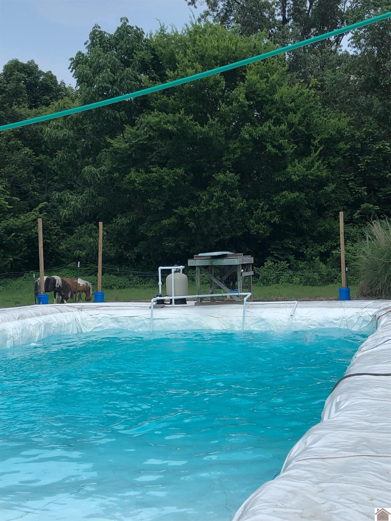 2486 Erwin Road Murray, KY 42071 - Photo 30 of 35 Cowboy swimming hole