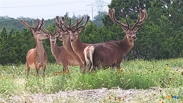 a close view of dryer in a room
