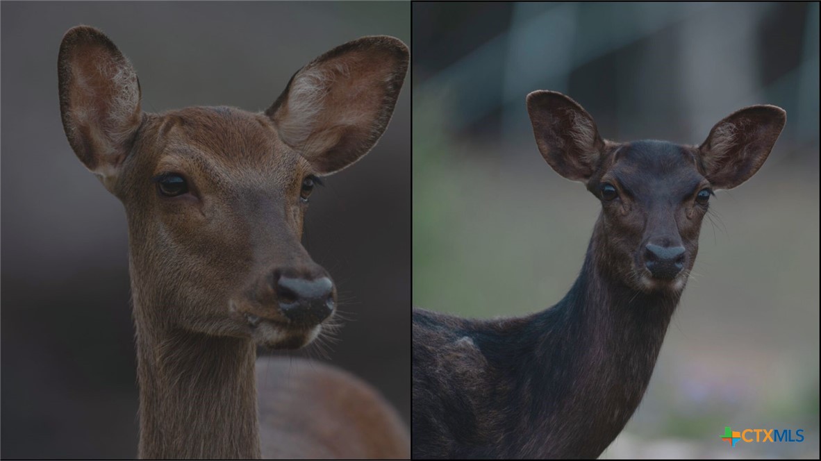 124 Old Mission Road Kempner, TX 76539 - Photo 35 of 39 a close view of dryer in a room