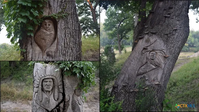 a view of a patio with a backyard