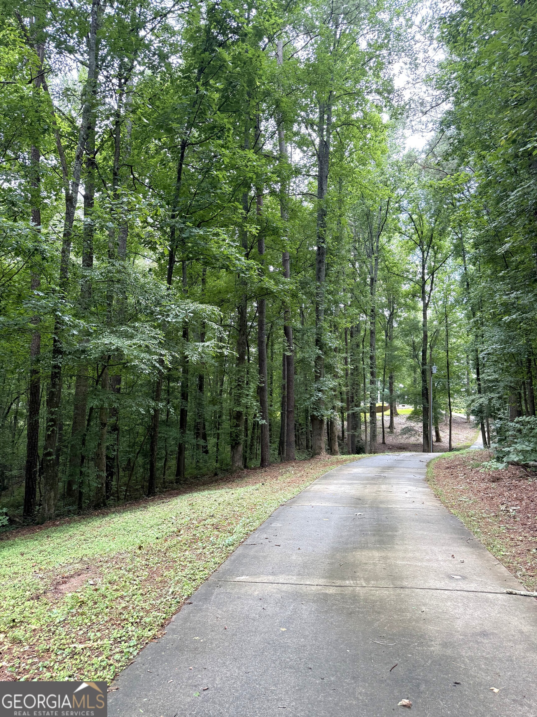 971 Cown Road Temple, GA 30179 - Photo 3 of 3