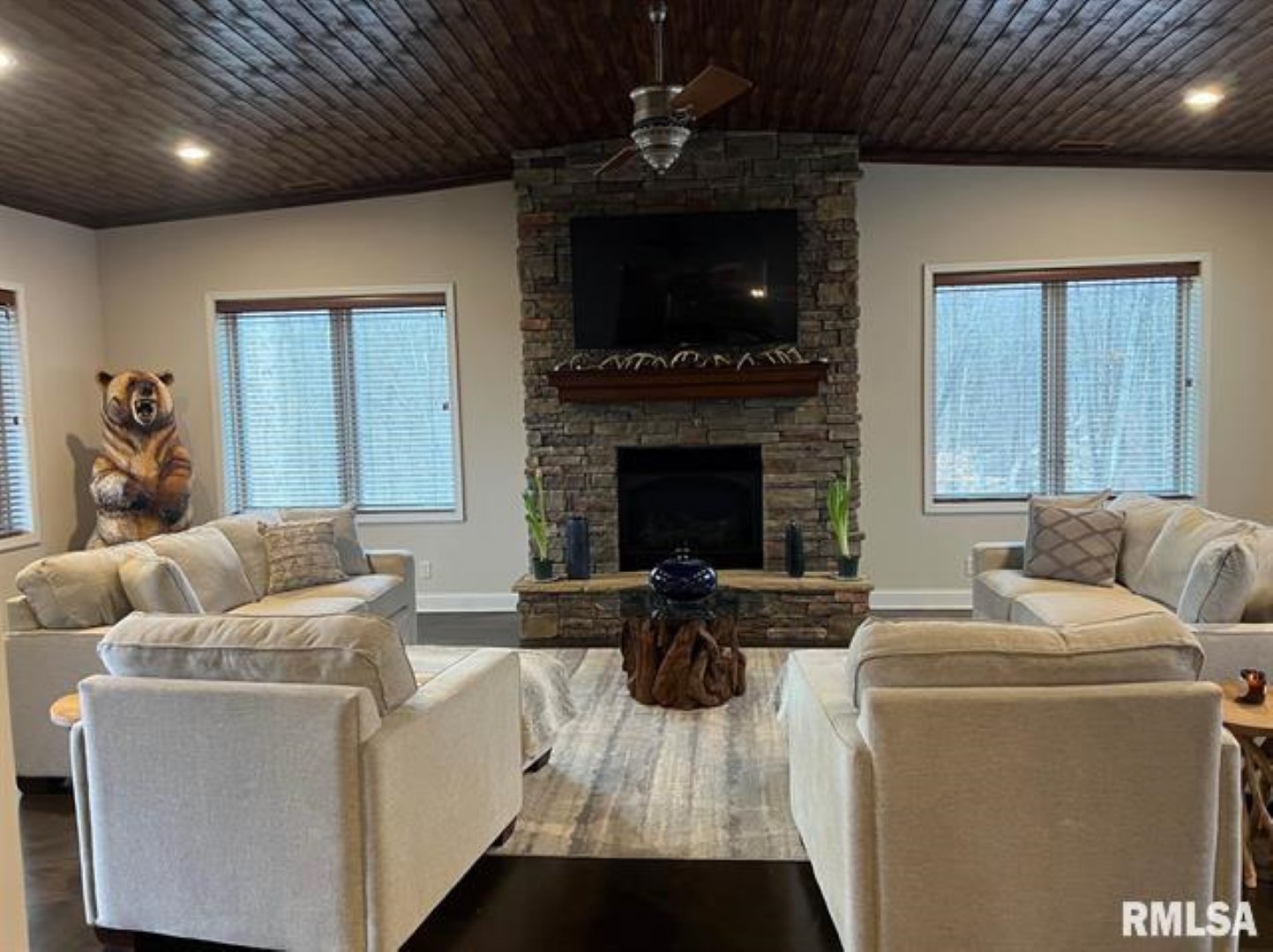 4763 Highway 127 Cobden, IL 62920 - Photo 3 of 42