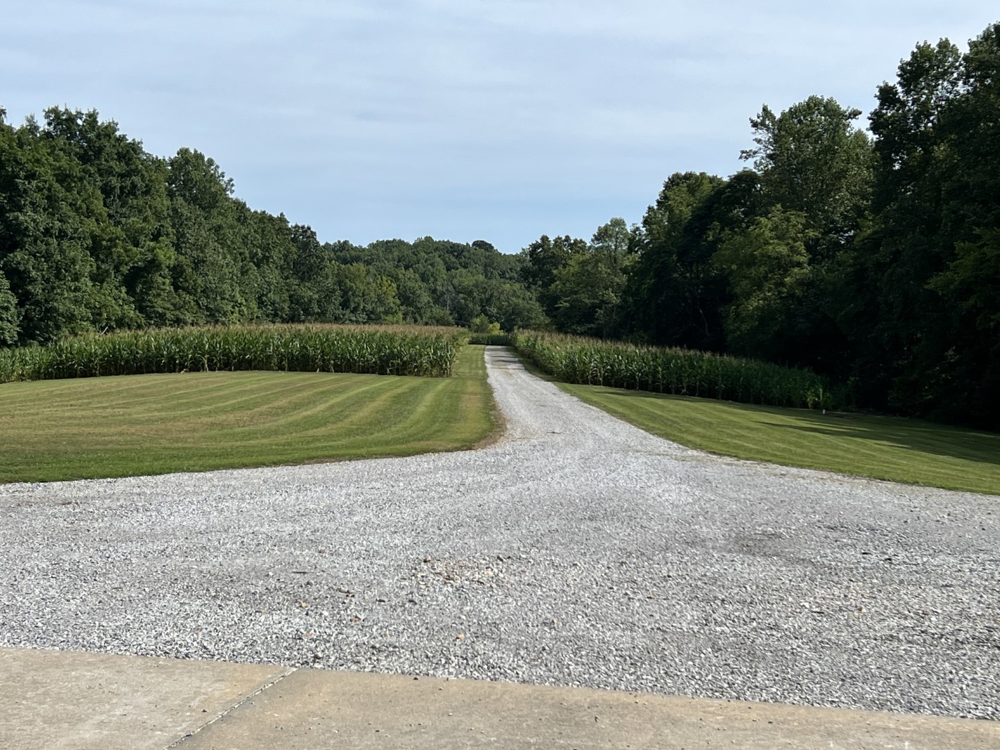 4763 Highway 127 Cobden, IL 62920 - Photo 31 of 42