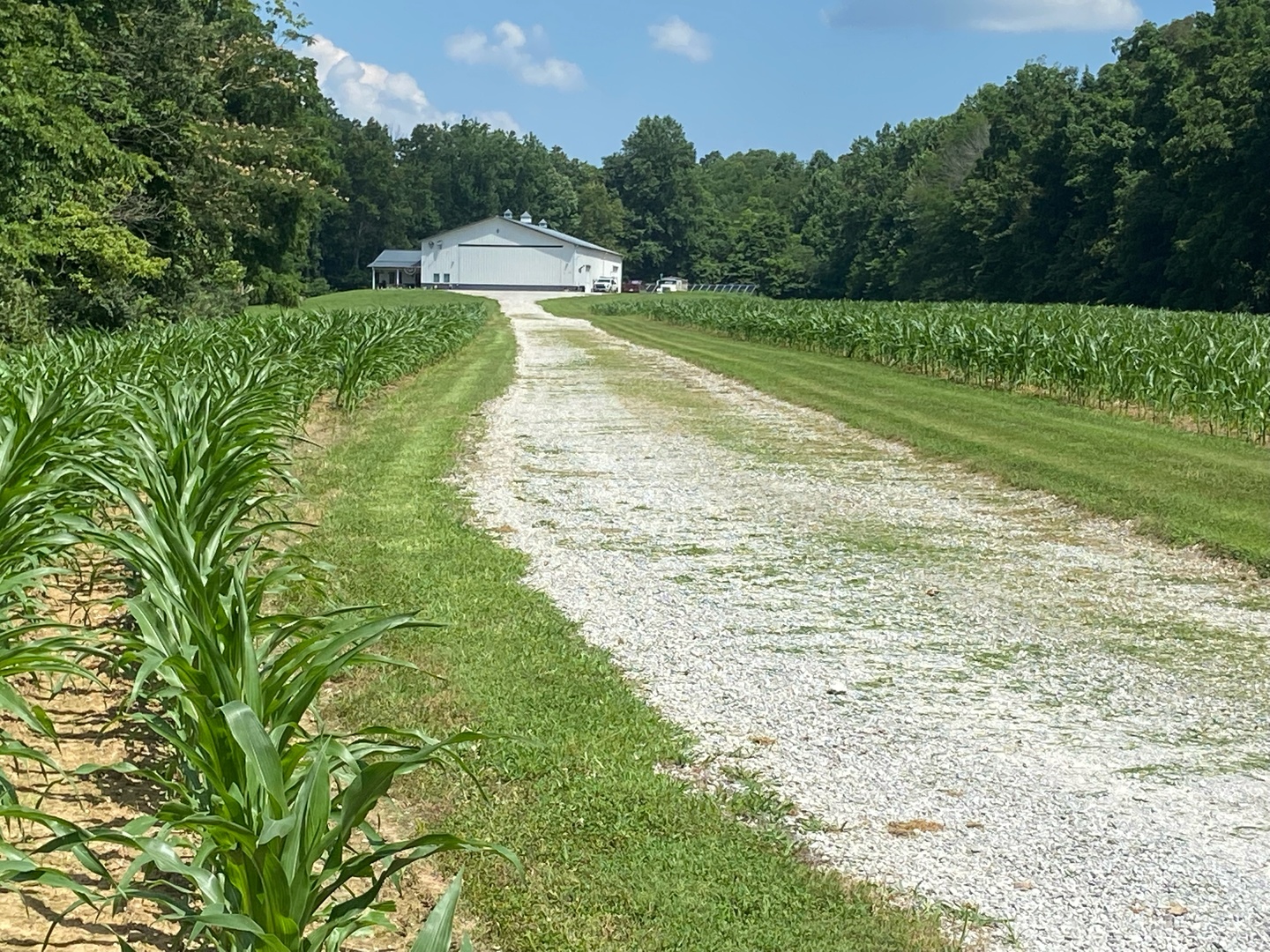 4763 Highway 127 Cobden, IL 62920 - Photo 35 of 42