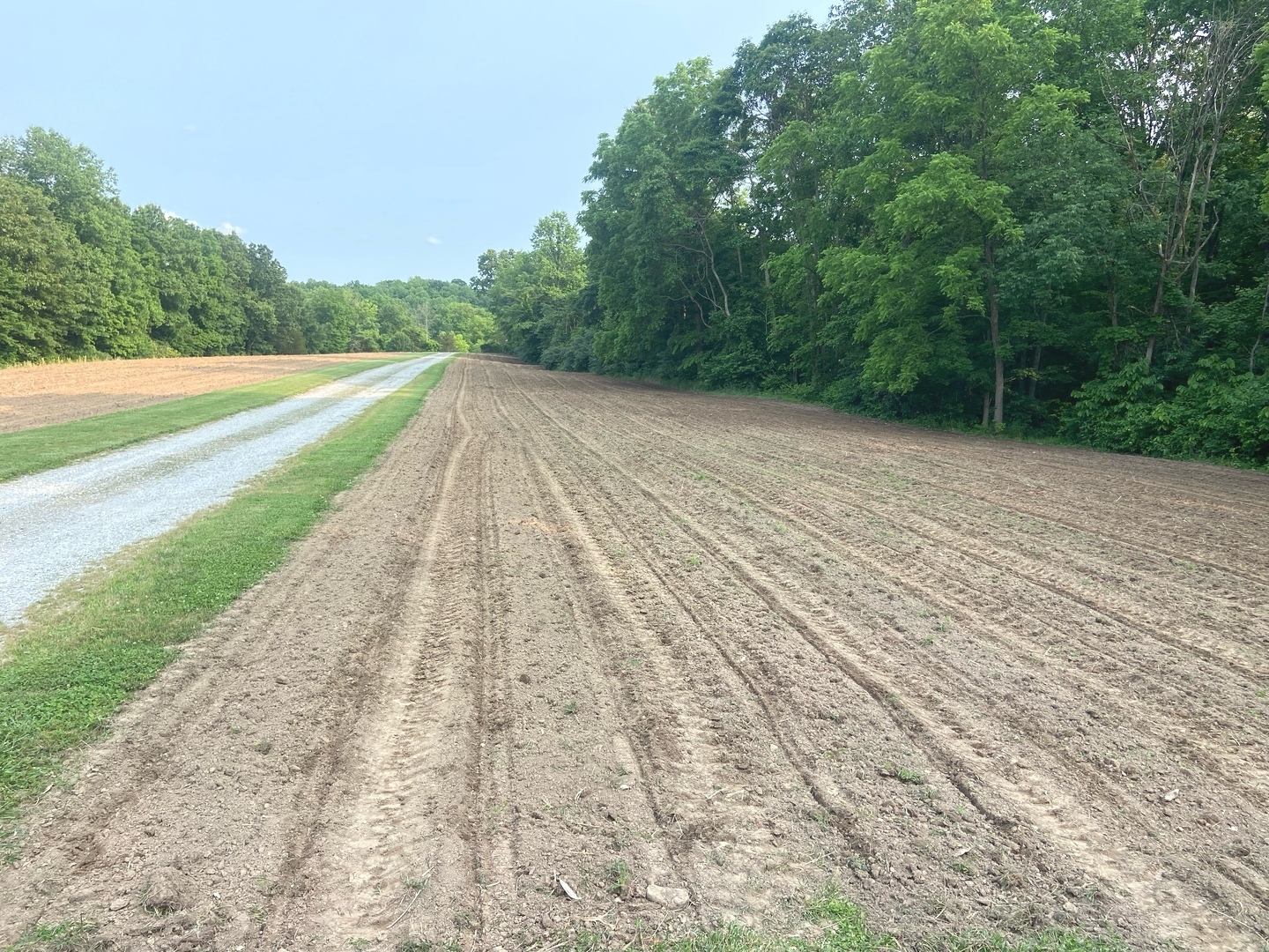 4763 Highway 127 Cobden, IL 62920 - Photo 38 of 42