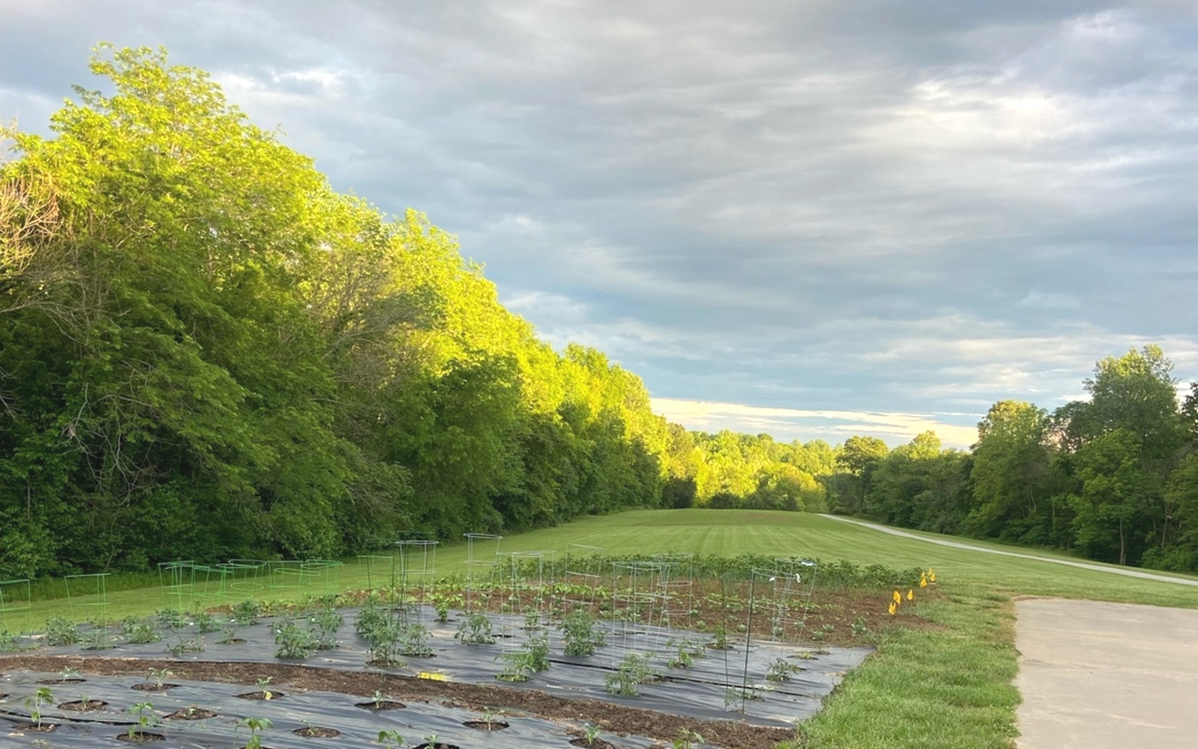 4763 Highway 127 Cobden, IL 62920 - Photo 39 of 42