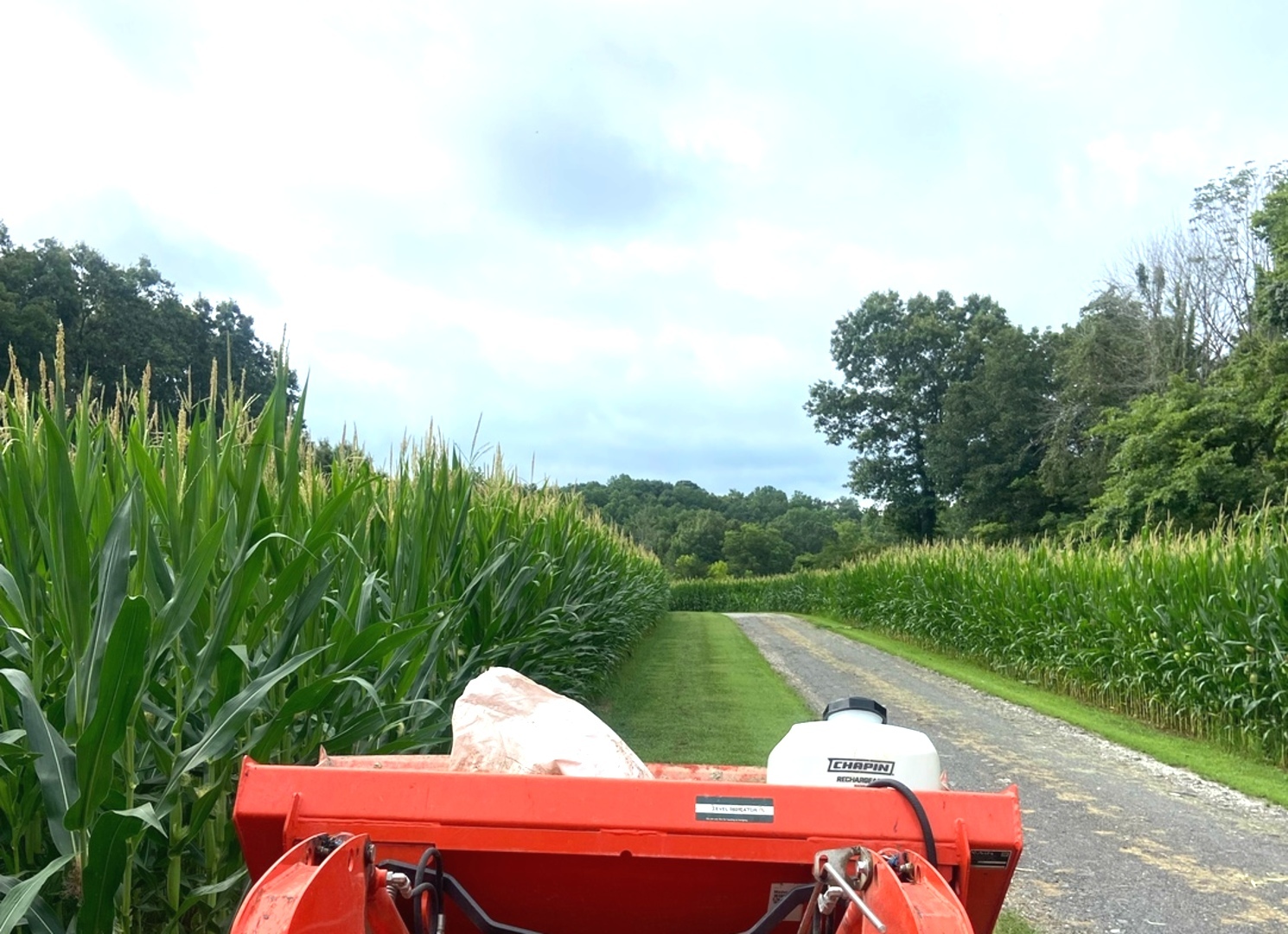 4763 Highway 127 Cobden, IL 62920 - Photo 42 of 42