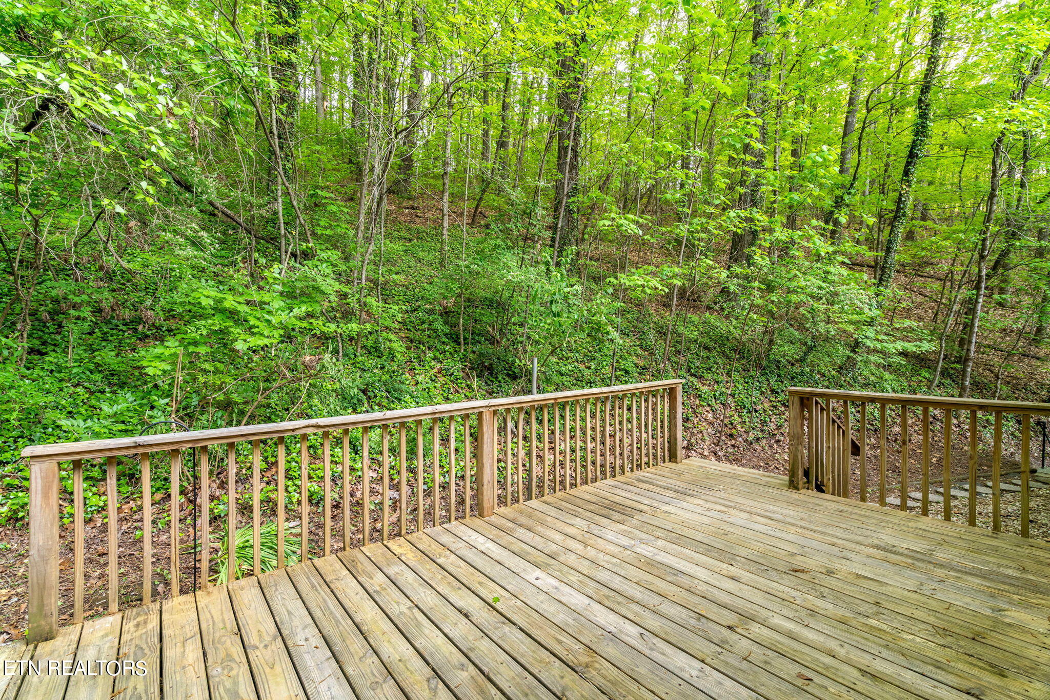 6828 Reddege Road Knoxville, TN 37918 - Photo 39 of 42 41-web-or-mls-6828 Reddege Road-42