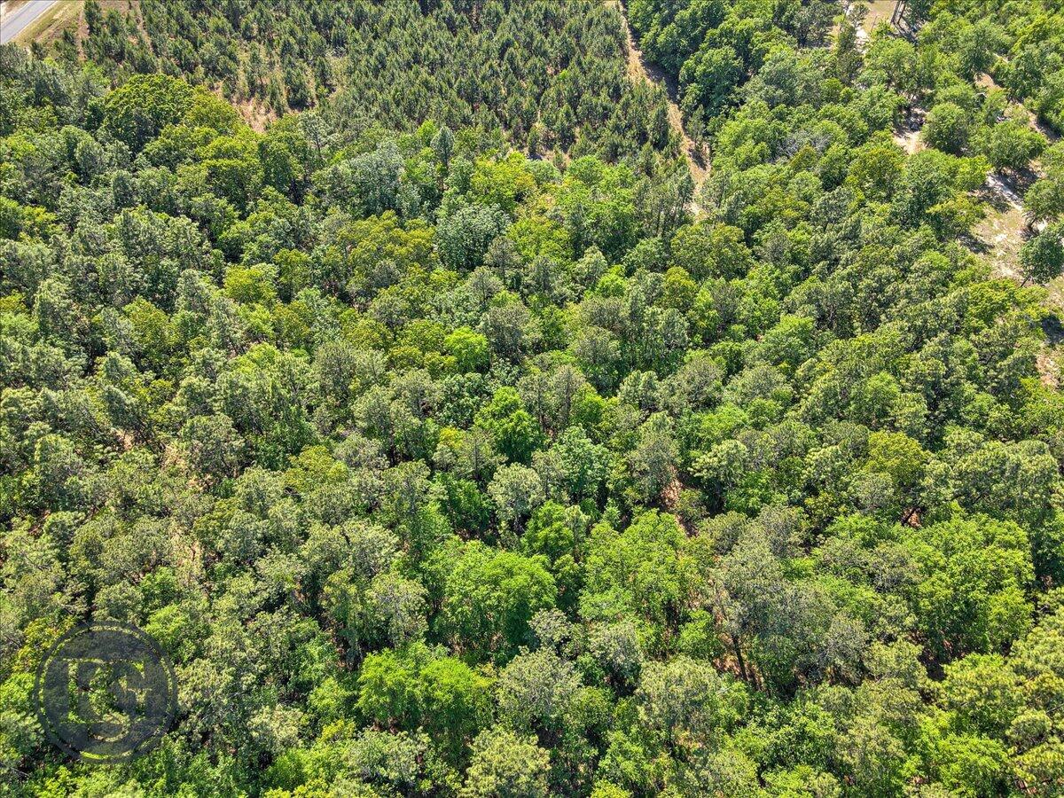 Lot 1 Whiskey Road Aiken, SC 29803 - Photo 11 of 15