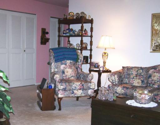 555 Sloop Road, Unit 16 Pittsburgh, PA 15237 - Photo 2 of 18 Living Room. Large living room with newer carpet and generous storage closet.