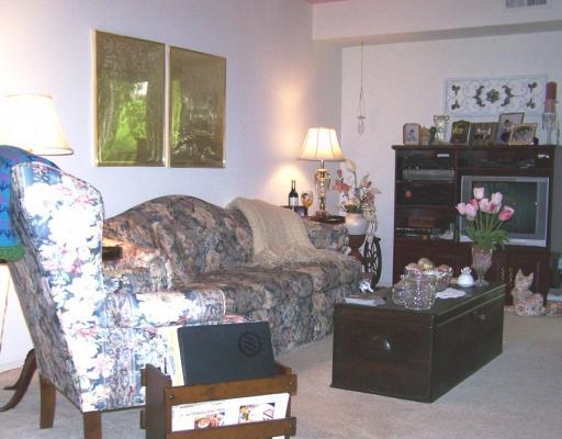 555 Sloop Road, Unit 16 Pittsburgh, PA 15237 - Photo 3 of 18 Living Room. Living room has room for your entertainment center.