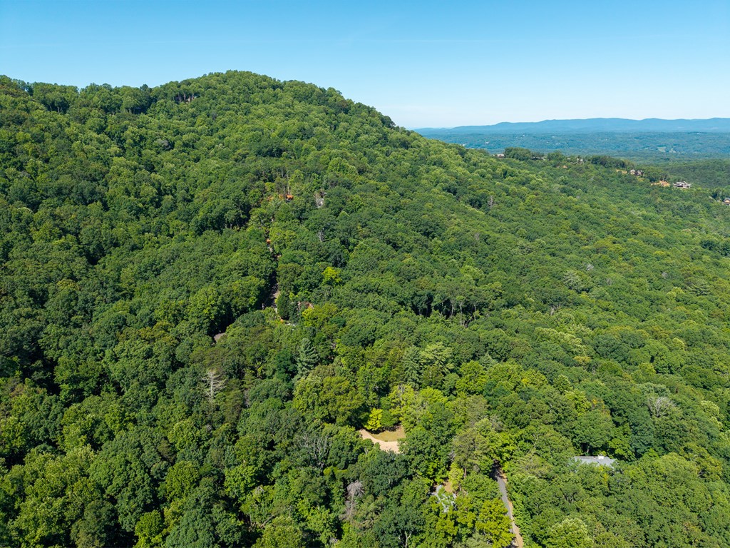 775 Mountain Oak Road Ellijay, GA 30536 - Photo 65 of 106