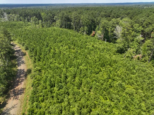 $94,250 | 3 Fire Tower Drive, Hemphill, TX 75948