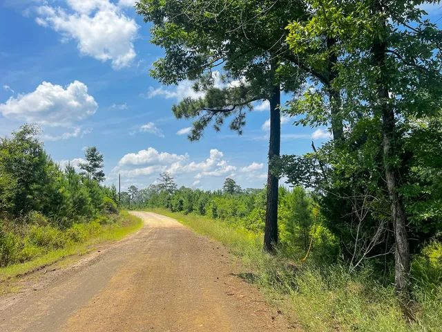$94,250 | 3 Fire Tower Drive, Hemphill, TX 75948