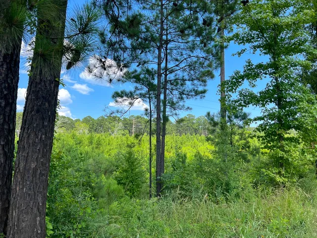 $94,250 | 3 Fire Tower Drive, Hemphill, TX 75948