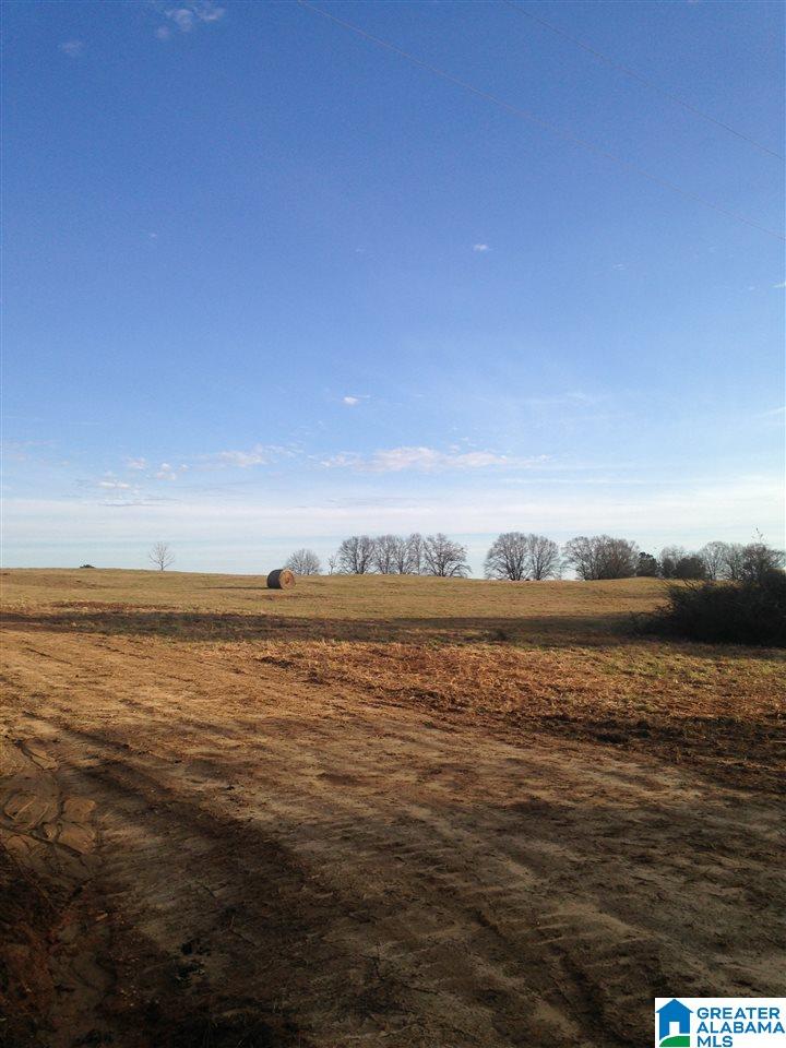 0 County Road 407 Clanton, AL 35045 - Photo 2 of 7