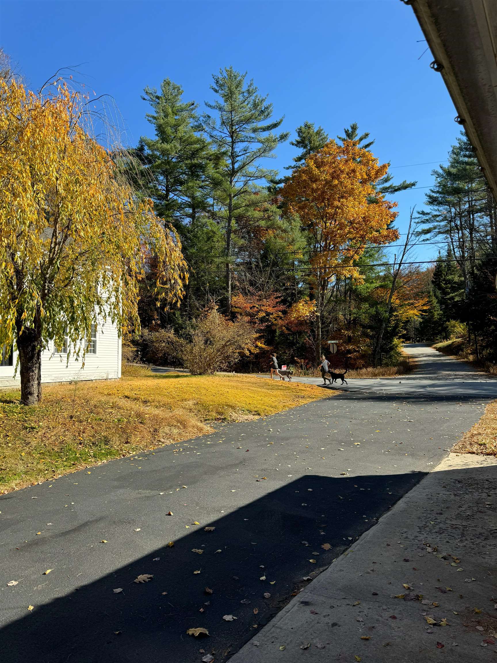 244 Page Road Bow, NH 03304 - Photo 32 of 37