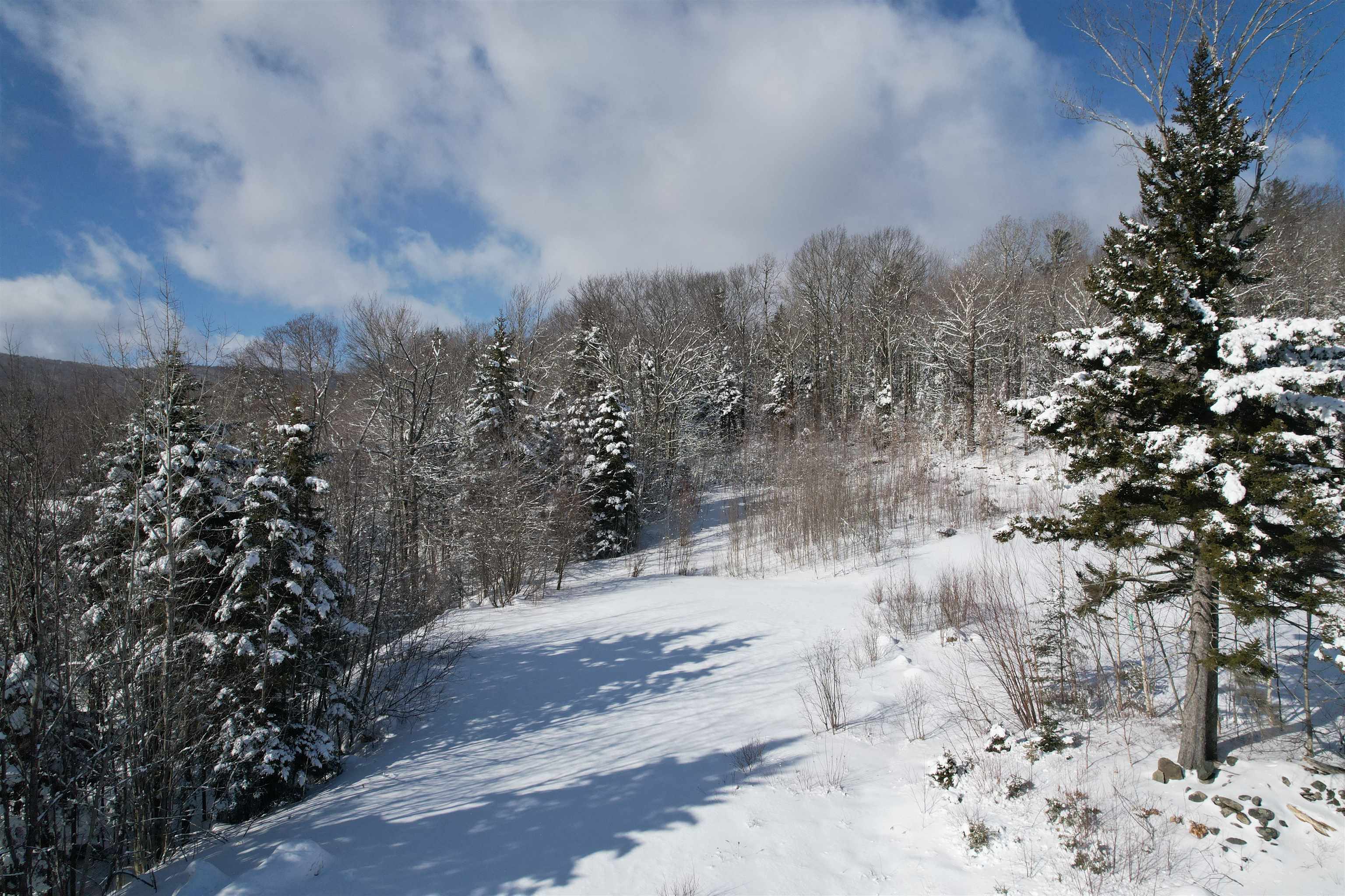 5 Pinnacle View Road, Unit 5 West Dover, VT 05356 - Photo 2 of 9