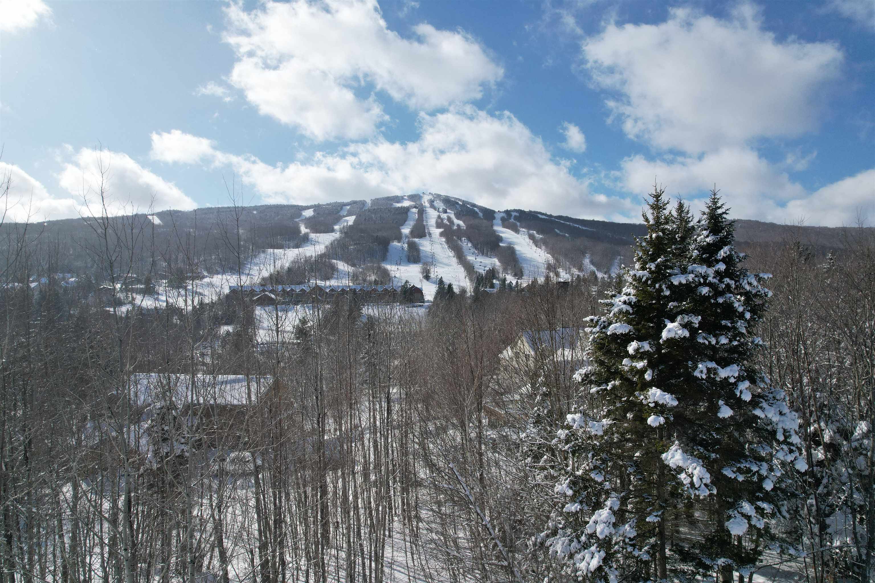 5 Pinnacle View Road, Unit 5 West Dover, VT 05356 - Photo 4 of 9