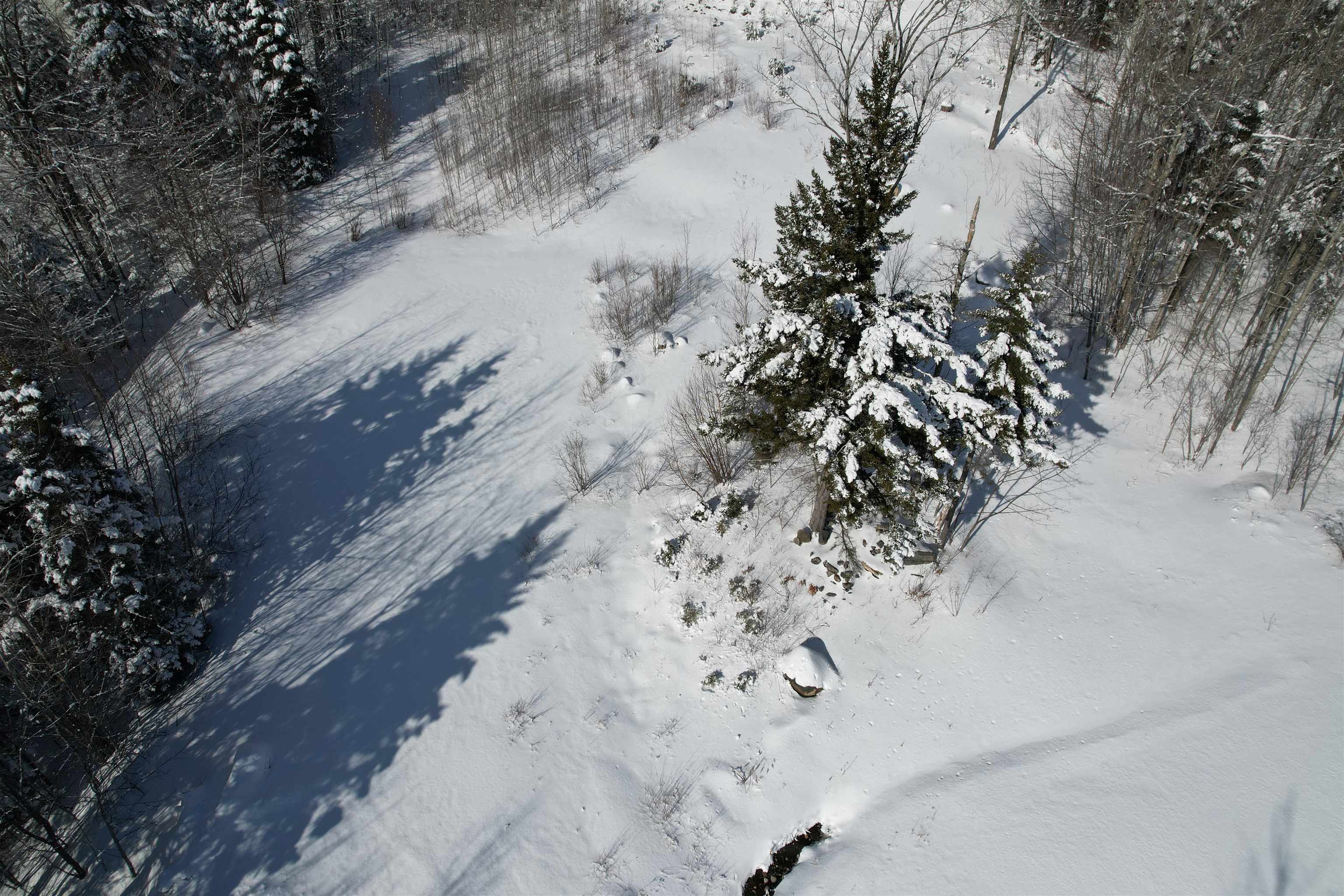 5 Pinnacle View Road, Unit 5 West Dover, VT 05356 - Photo 6 of 9