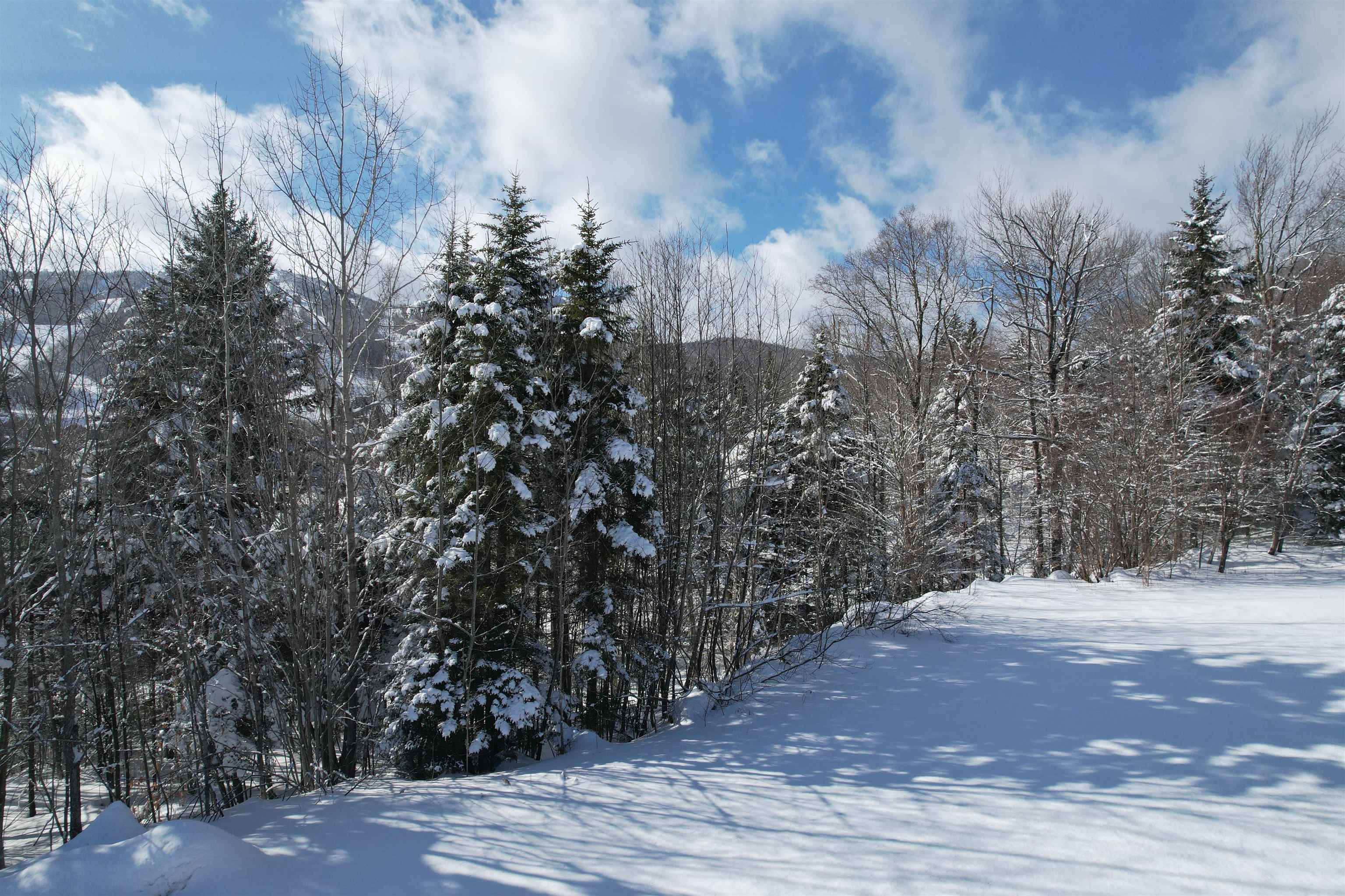 5 Pinnacle View Road, Unit 5 West Dover, VT 05356 - Photo 7 of 9