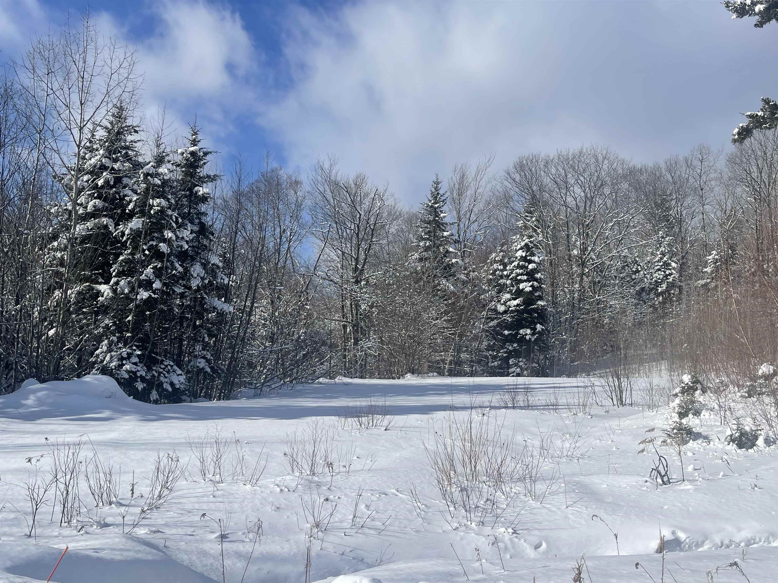 5 Pinnacle View Road, Unit 5 West Dover, VT 05356 - Photo 8 of 9