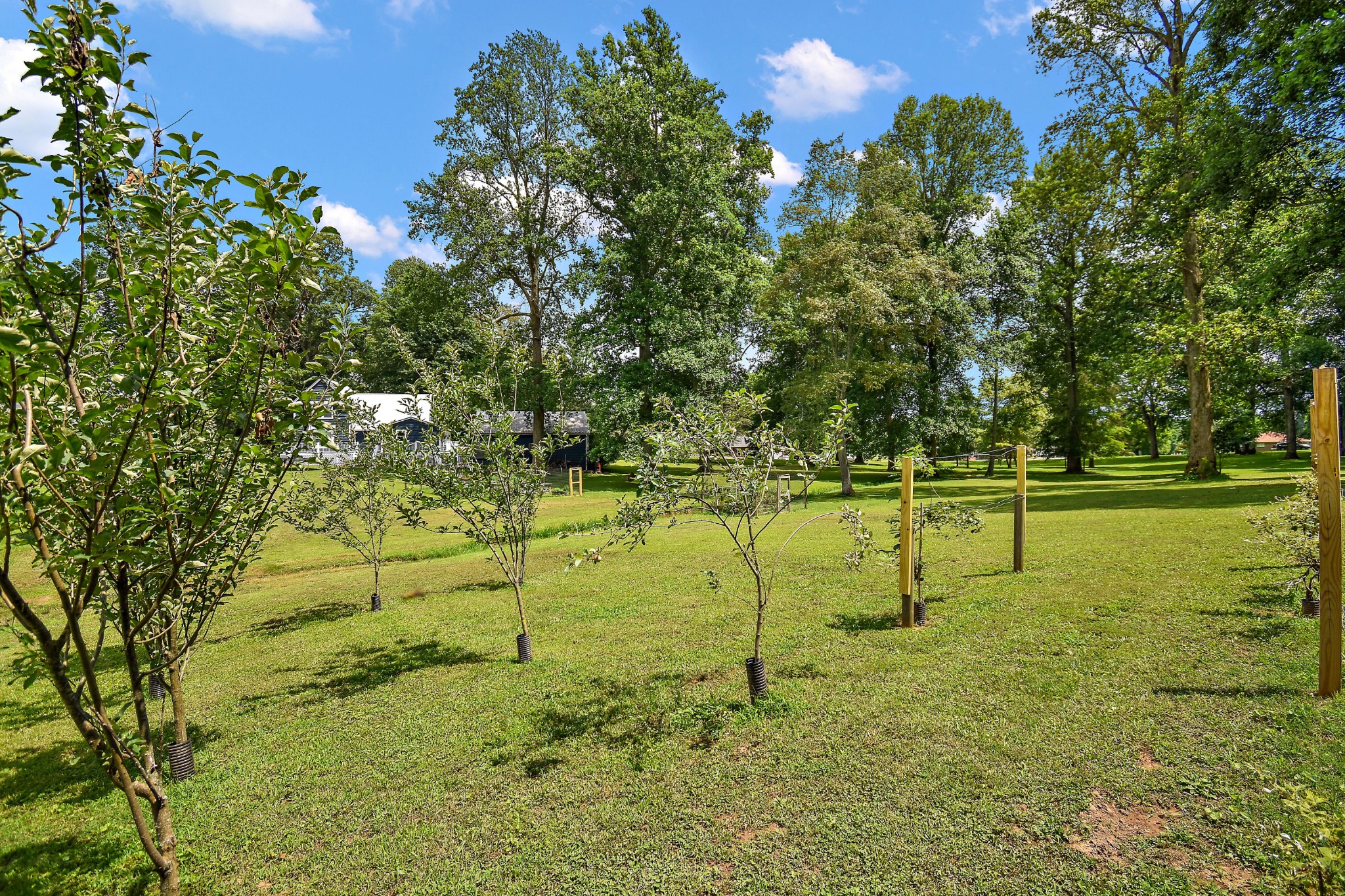124 Amy Road Hillsboro, TN 37342 - Photo 50 of 56