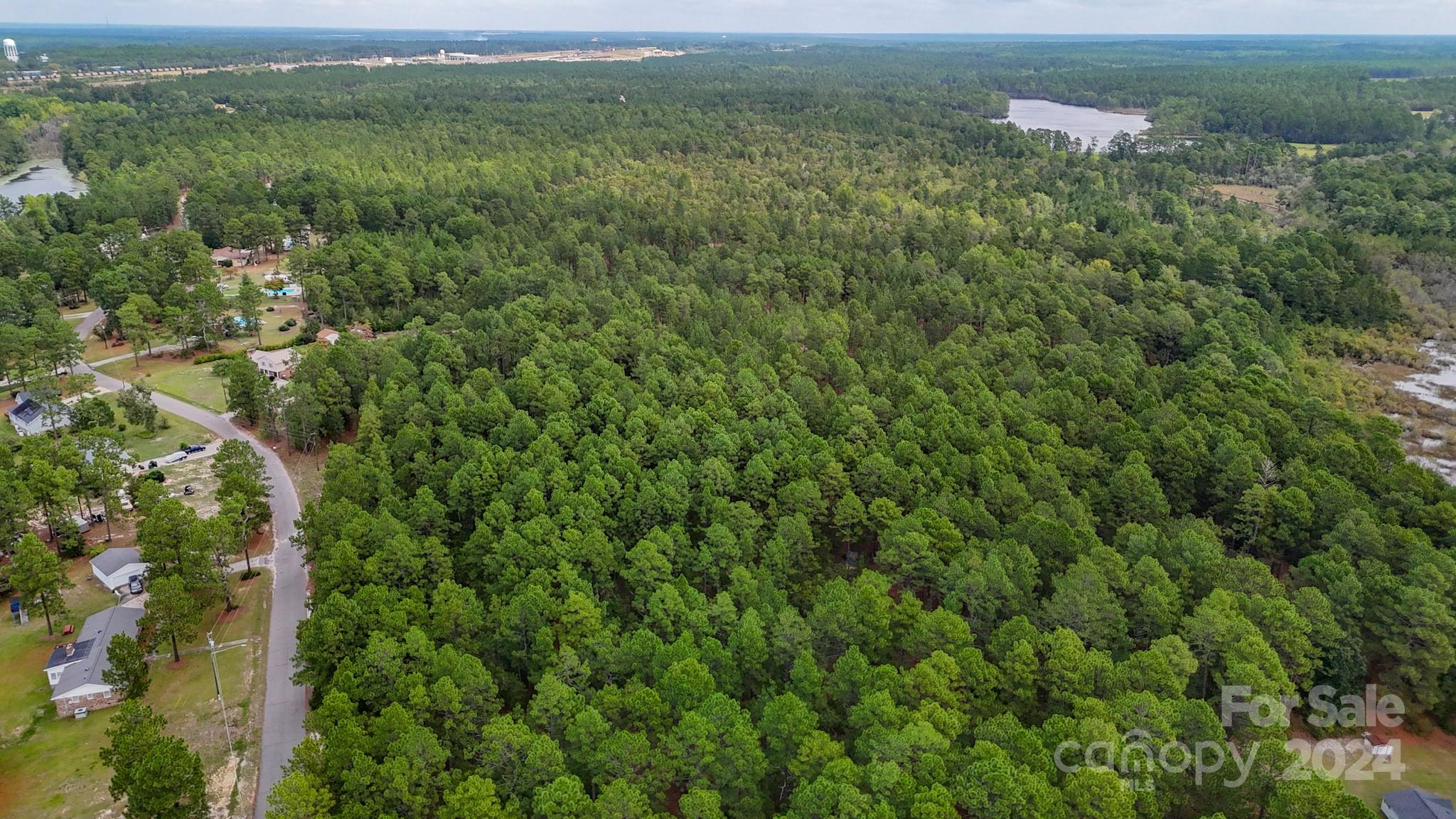 0 Raintree Road Hamlet, NC 28345 - Photo 4 of 22 Gallery Image 4